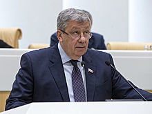 Чернецкий предупредил о новых «обманутых дольщиках» на землях под ИЖС
