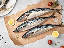 Атлантическая скумбрия или вкусная рыба на каждый день