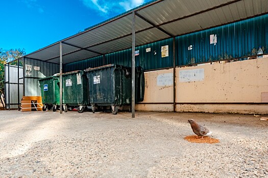 Кубань создаст восемь мусороперерабатывающих комплексов к 2026 году