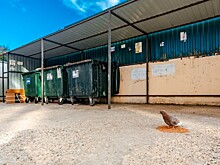 Кубань создаст восемь мусороперерабатывающих комплексов к 2026 году