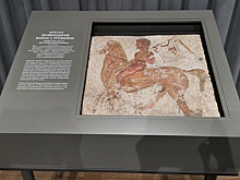 В Воронеже открыли для публики уникальную античную фреску