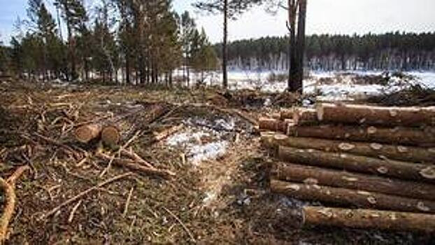          «Черные лесорубы» из Нагорского района заплатят 3-миллионный штраф       