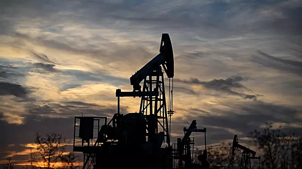 Путин прокомментировал поставки российской нефти в Индию