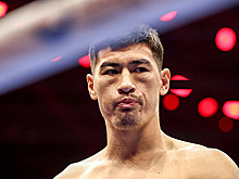 WBO выдала временное медицинское заключение боксеру Биволу