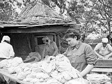 Как женщины спасли Красную армию от вшей
