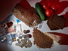 «Придумать красивое название»: Экономисты поддержали продуктовые карточки