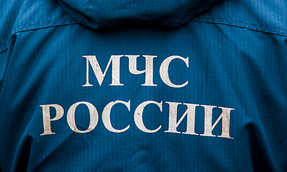 МЧС России оспорило в суде приговор пожарным по делу "Зимней вишни"