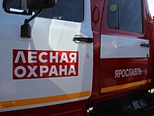 С 16 апреля на территории Ярославской области объявлен пожароопасный сезон