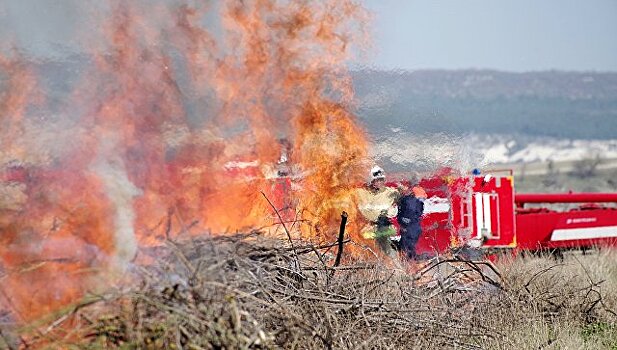Площадь лесных пожаров в Красноярском крае превысила 900 тысяч гектаров