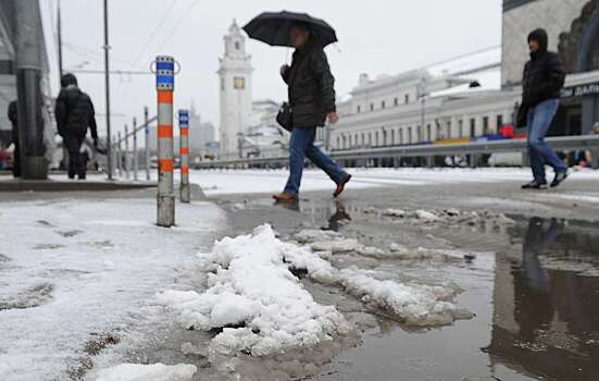 Москву ждут дожди с мокрым снегом