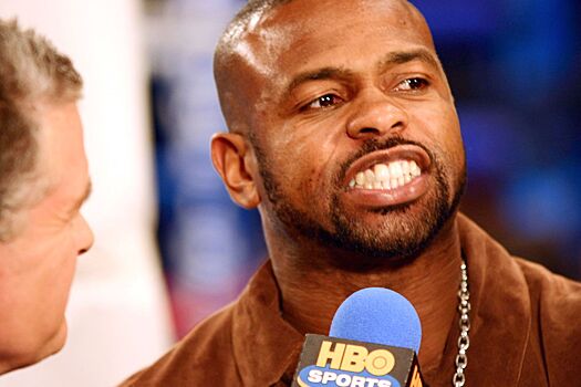 Рой Джонс — Глен Джонсон, Рой Джонс техника, чемпион мира по боксу