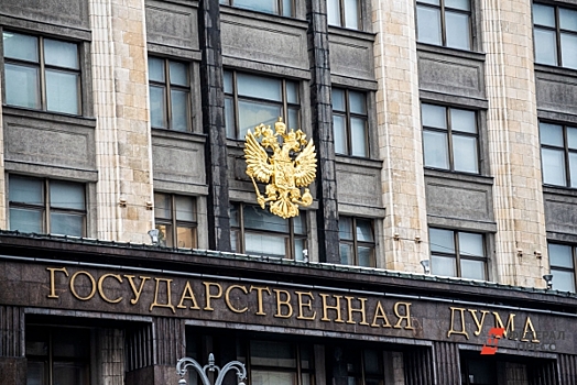 Названы самые полезные депутаты Госдумы: кто они