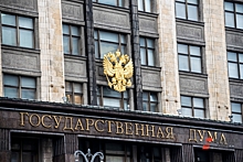 Экономист назвал маловероятным решение сделать рубль единой расчётной валютой стран БРИКС