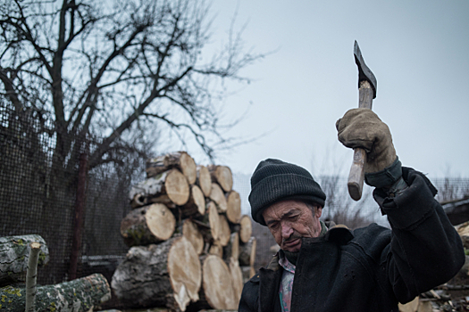 Россиян предупредили об уголовной ответственности за срубленную в лесу елку