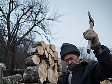 Россиян предупредили об уголовной ответственности за срубленную в лесу елку