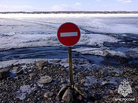 Спасатели «Мособлпожспаса» сообщили о 22 водоемах в Подмосковье с опасной толщиной льда