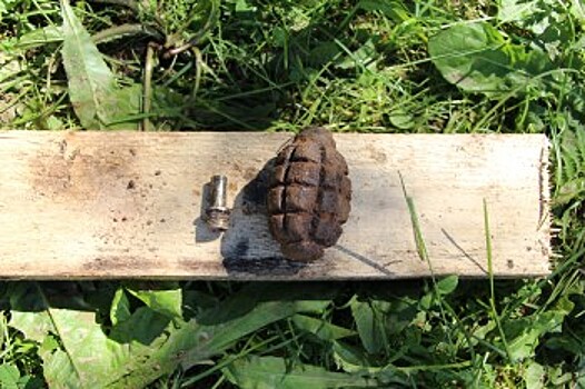 В Бабаево сотрудники ОМОН Росгвардии обследовали найденную гранату