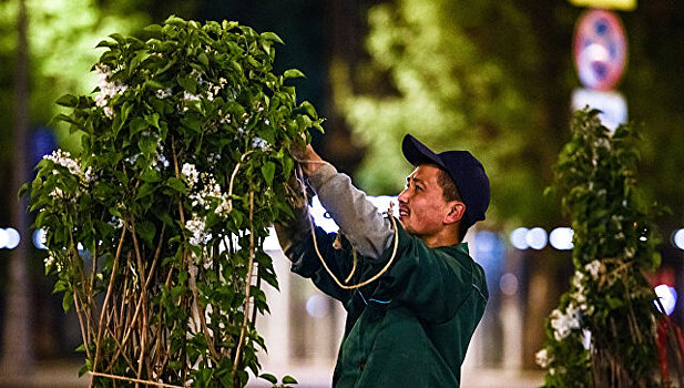 Специалисты о рассказали об уходе за кустарниками на улицах Москвы