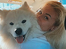 Запашный заступился за племянницу, укравшей собаку