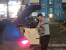В Новосибирске «блогер» заявил, что везет тигра в Пензу для зоопарка