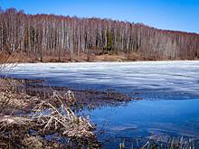 Россиянам назвали безопасную толщину льда