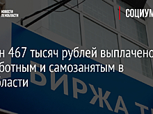 11 млн 467 тысяч рублей выплачено безработным и самозанятым в Ленобласти