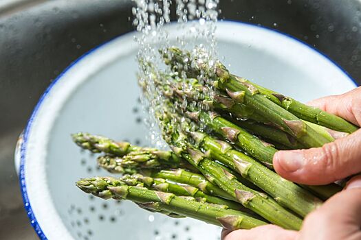 Спаржа: польза для женщин и мужчин, калорийность, сколько можно в день, что приготовить, рецепты