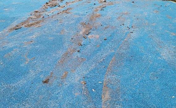 В Курске по отремонтированной общественной территории на Серегина катались вандалы