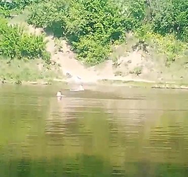 Кузбассовцы открыли купальный сезон вопреки запрету властей