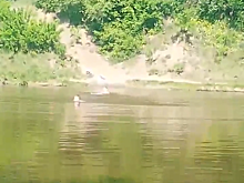 Кузбассовцы открыли купальный сезон вопреки запрету властей