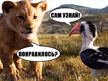 Первые отзывы о ремейке «Короля Льва»