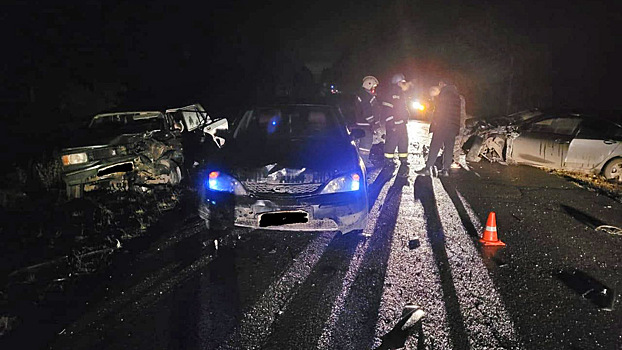 Смерть на «встречке» и гибель мотоциклиста: резонансные ДТП в регионе за неделю