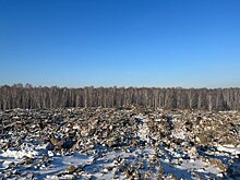 Ликвидацию 30-летней свалки под Новосибирском планируют завершить осенью 2024 года