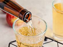 Создатель «Новичка» Ринк объяснил, как жители Ульяновской области могли отравиться сидром