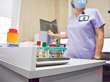 Первым в России заразился оспой обезьян житель Петербурга: он привез вирус из Португалии