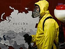 Пока вы дома: раскрыта тяжесть последствий от пандемии в РФ