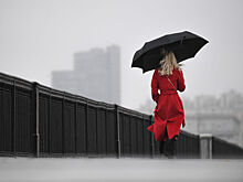 Мокрый снег и до +9°C ожидается в Москве