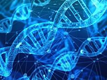 Журнал Science назвал главное научное открытие года
