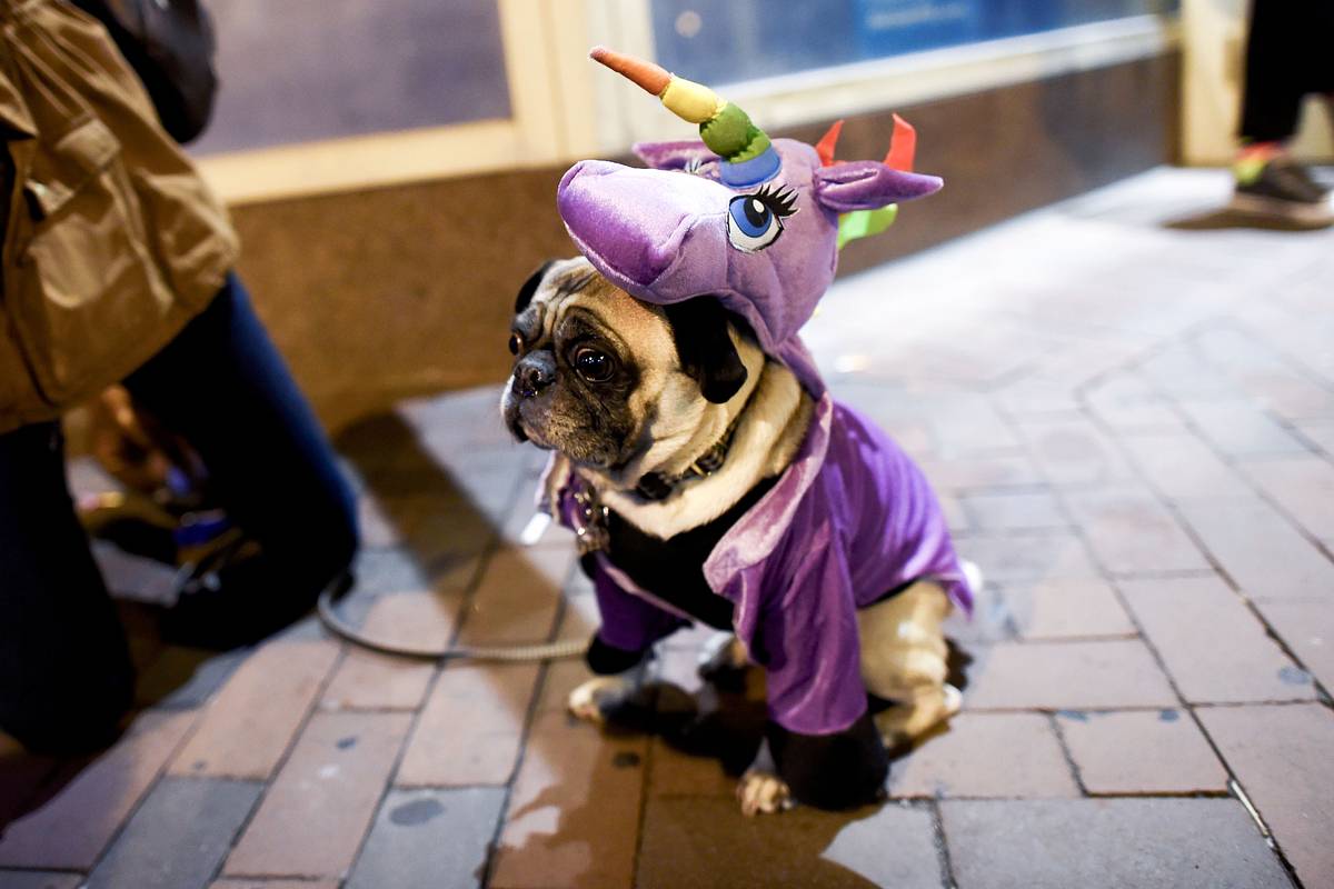 9&nbsp; ������: ����� �������� �������� � ������ � ����