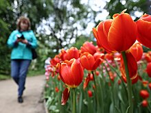 Начало лета в Москве оказалось самым холодным за последние 54 года
