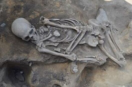 Захоронение мужчины эпохи бронзы случайно нашли на Аркаиме