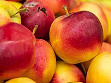 В России резко подорожали технические яблоки