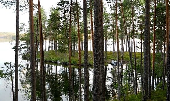 Власти Муезерского района нашли выход в конфликте местных жителей с форелеводами на озере Унус