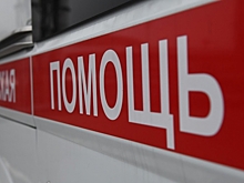 В Волгограде водитель погиб под колесами своей сломанной фуры