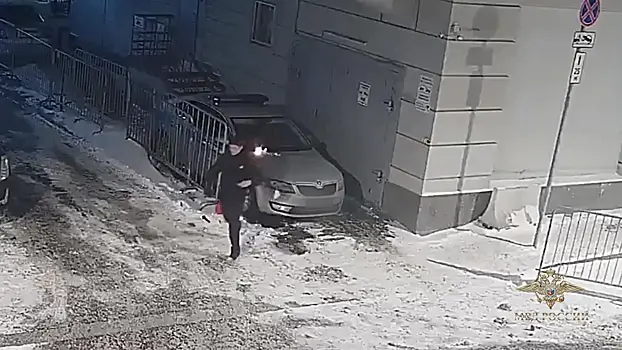 В Москве двое юношей попытались поджечь полицейские авто по заданию кураторов