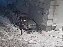 В Москве двое юношей попытались поджечь полицейские авто по заданию кураторов