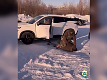 В Югре задержан мужчина, вымогавший 500 000 рублей у друга детства, которому ранее одолжил 50 тысяч