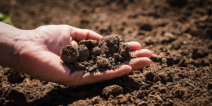 Советы для огородников: как быстро очистить испачканные землей руки