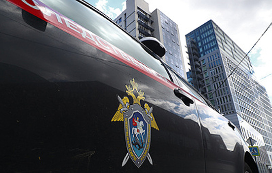 СК просит суд арестовать двух обвиняемых в убийстве посетителя ТЦ в Петербурге