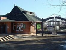 В красноярском зоопарке экскурсии будут проводить на иностранных языках